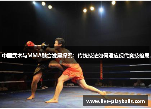 中国武术与MMA融合发展探索：传统技法如何适应现代竞技格局