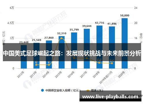 中国美式足球崛起之路：发展现状挑战与未来前景分析